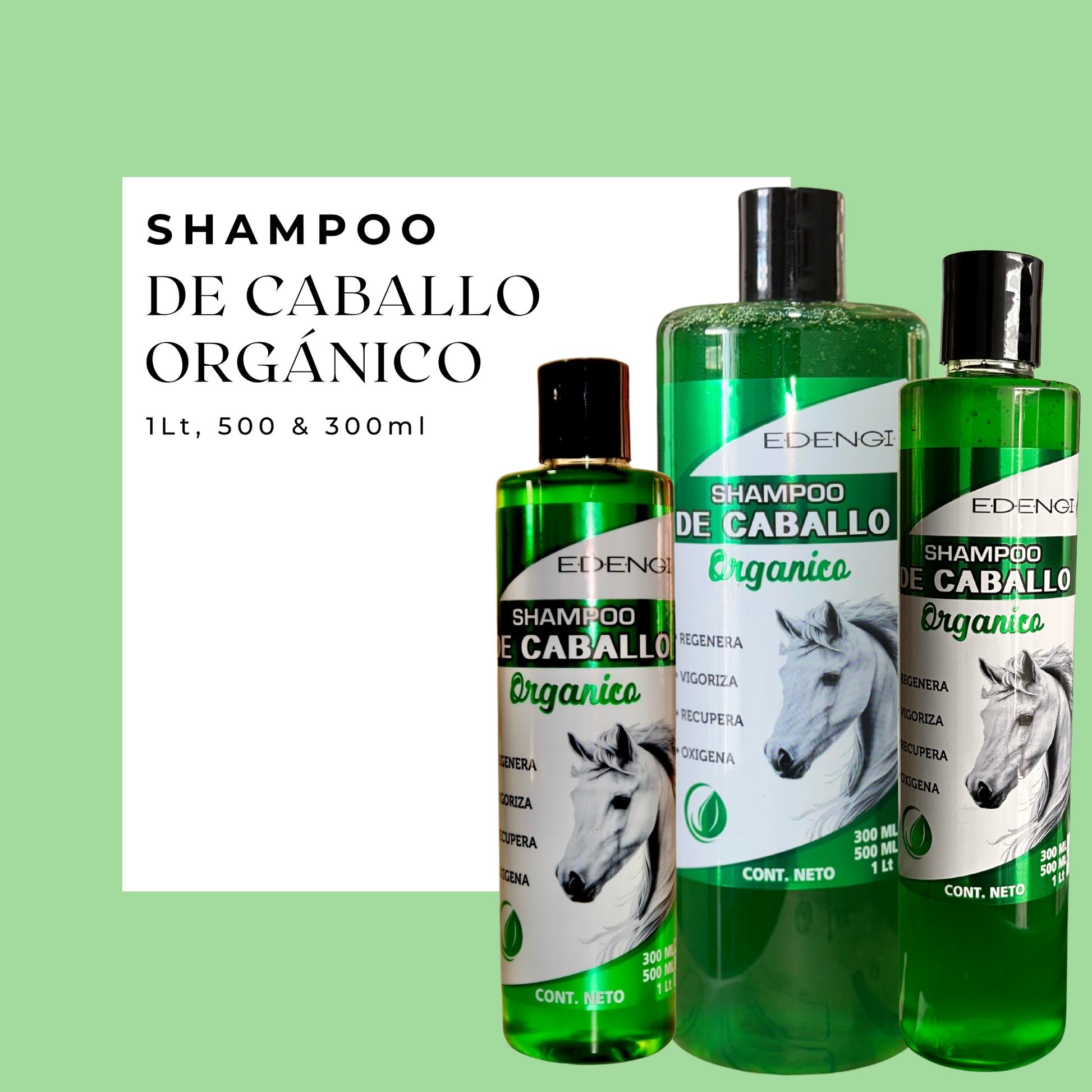 Shampoo de Caballo Orgánico – Fortalece y Estimula el Crecimiento